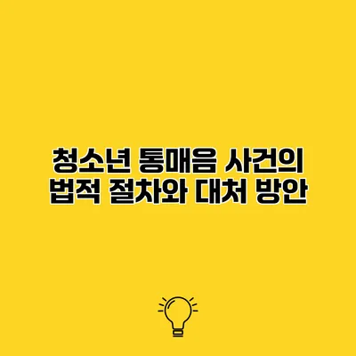 청소년 통매음 사건의 법적 절차와 대처 방안