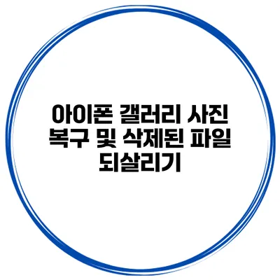 아이폰 갤러리 사진 복구 및 삭제된 파일 되살리기