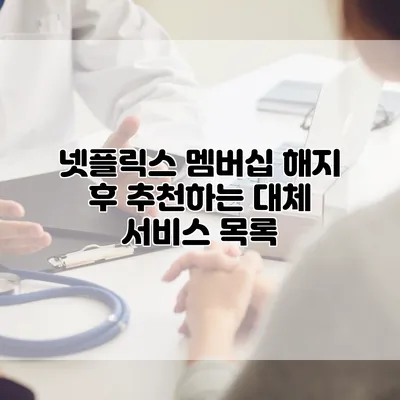 넷플릭스 멤버십 해지 후 추천하는 대체 서비스 목록
